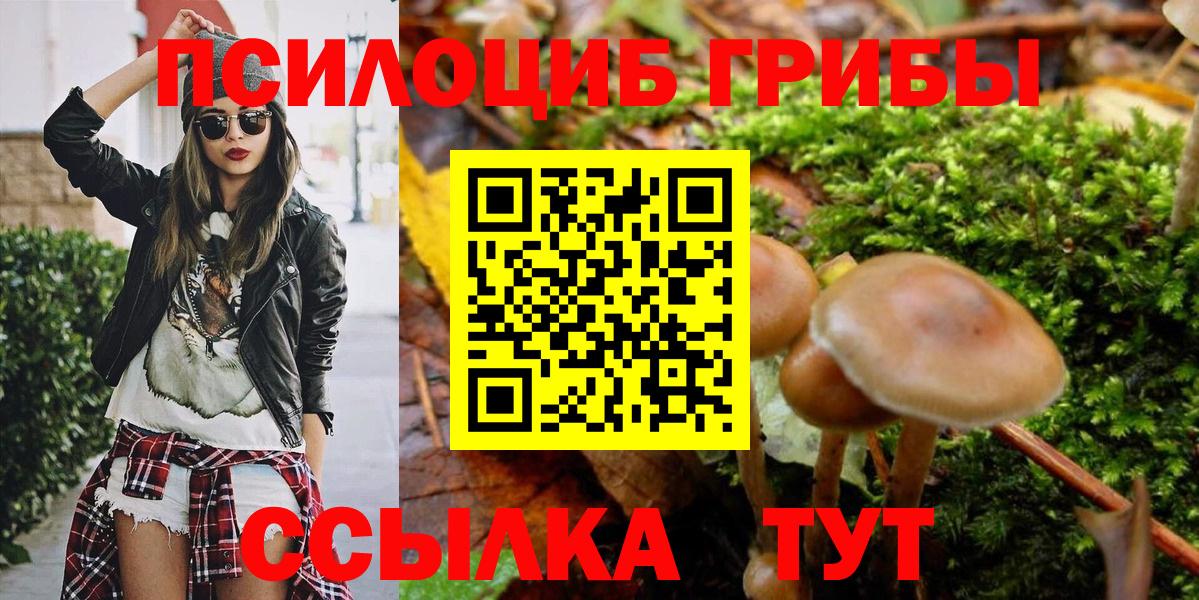 Псилоцибиновые грибы Psilocybine cubensis Строитель