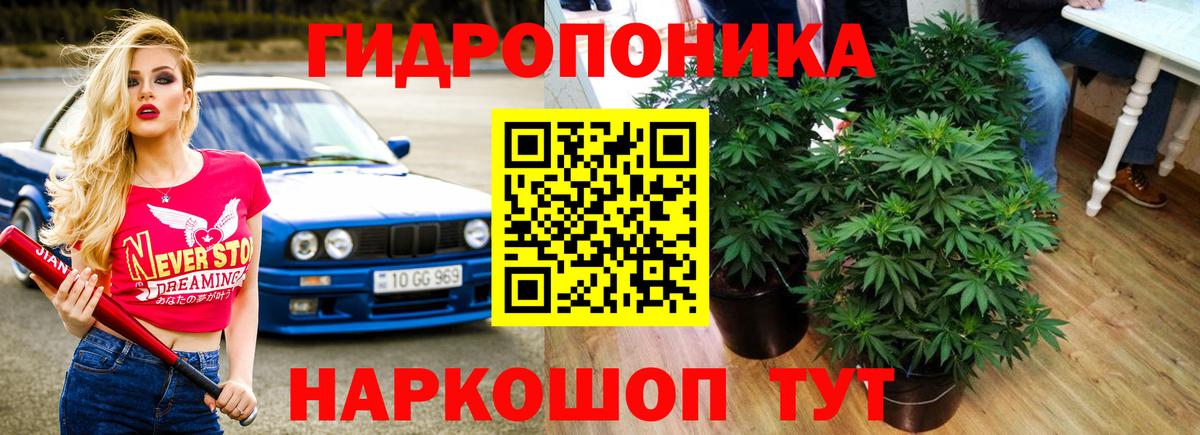 Канабис семена Строитель
